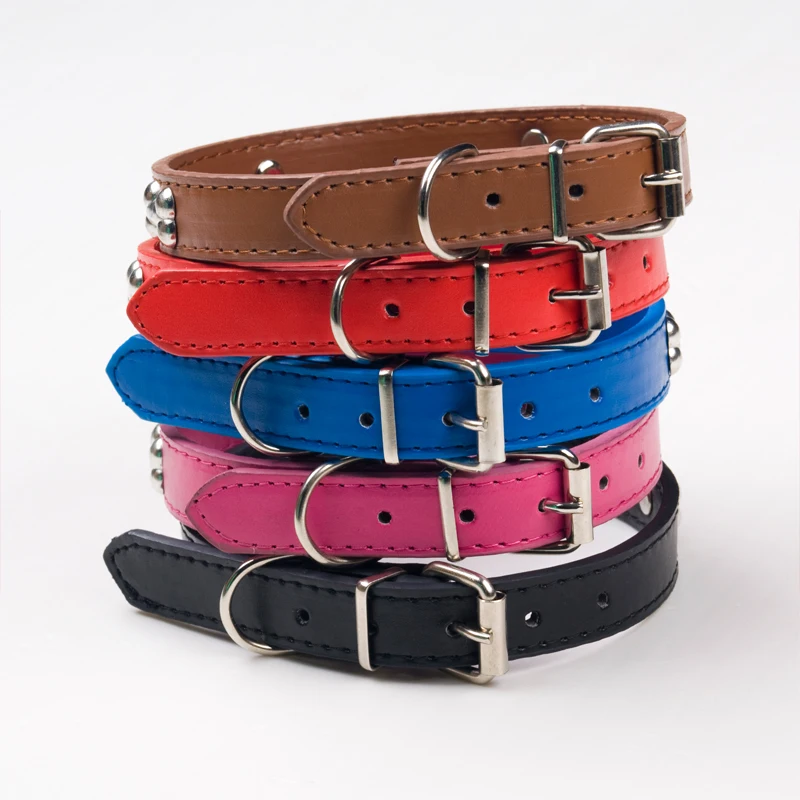 01 dog collar  