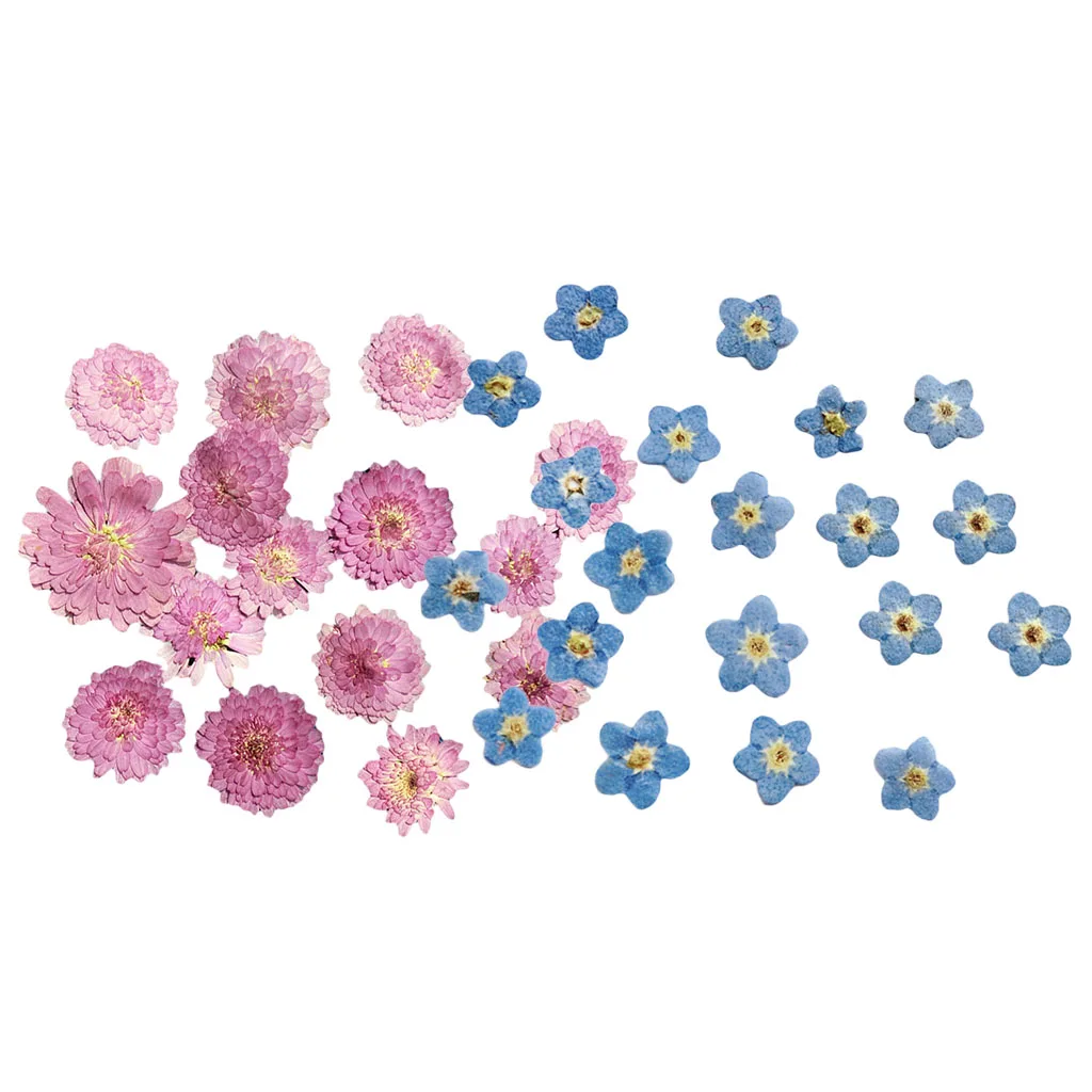 20x Pressed Dried Flower Dry Leaves for DIY Craft Bookmark Cards Making