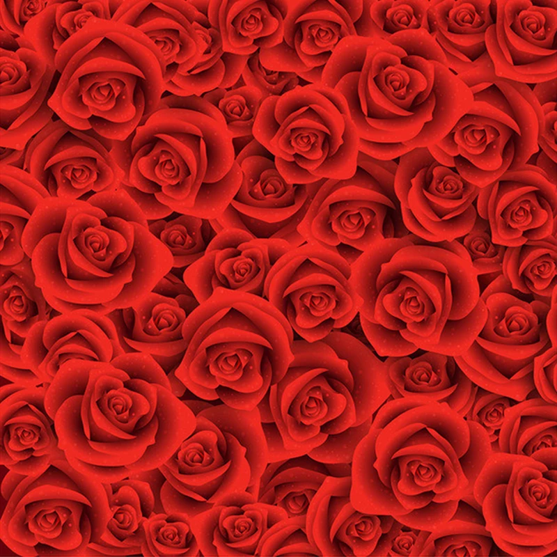 Unduh 500 Wallpaper Bunga Merah HD Terbaik Unduh 500 Wallpaper Bunga Merah HD Terbaik