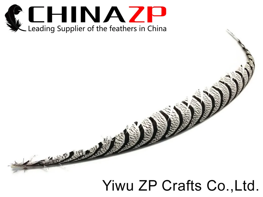 Tail Feathers, 10 Pieces - 30-35 ZEBRA Black and White Lady Amherst Pheasant Tail Feathers 45