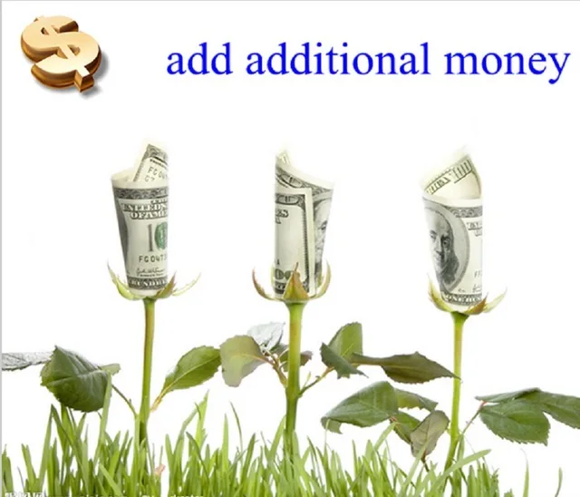 

The Link for adding additional money
