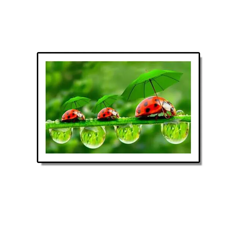 

5D Diy Diamond Diamond Embroidered Ladybug and Leaf Pattern Cross Stitch Diamond Mosaic Custom Photo and Dropshipping