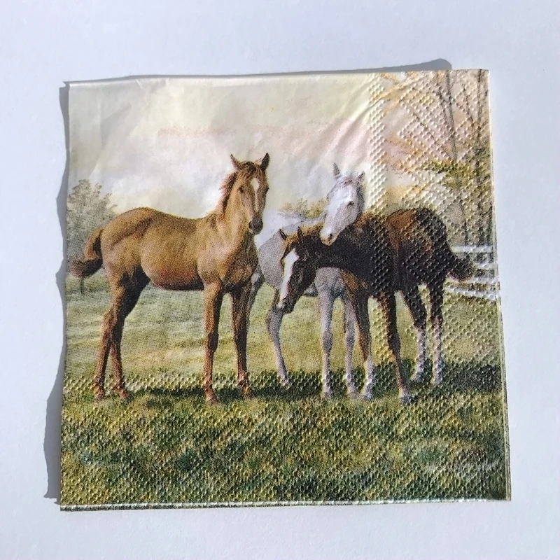 cocktail_napkins_decoupage_61
