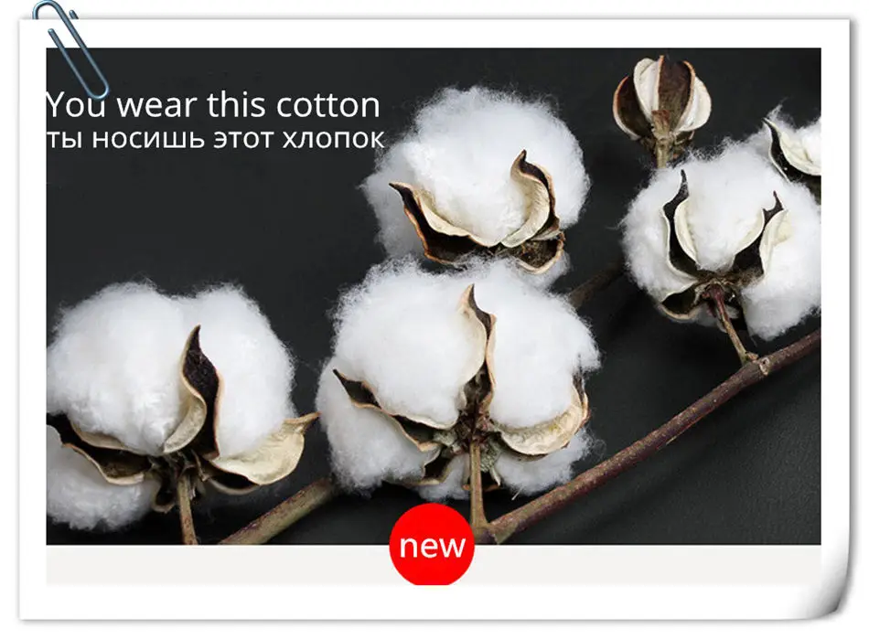 HTB16nDWkiAKL1JjSZFoq6ygCFXah_