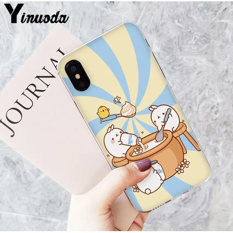 Funny and cute cartoon rabbit