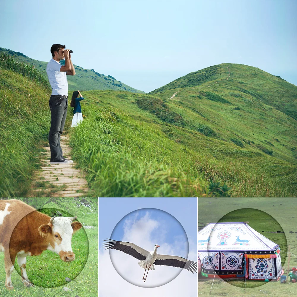 Aves e Caça Binóculos para Camping Viagens de Observação de Aves Concertos ao ar Apexel Portátil Compacto Mini Bolso 10x25 Livre Telescópio Viagens de Observação de 6 High Quality Ferramenta