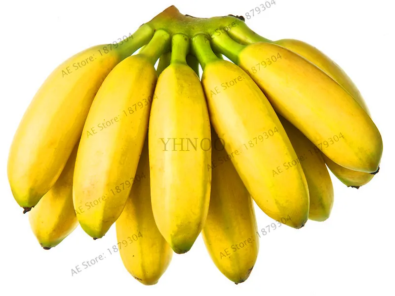 Свежий 200 шт Банан бонсай, карликовые плоды деревьев, вкус молока, открытый многолетний фруктовый Флорес для садовых растений,# JM5BPI