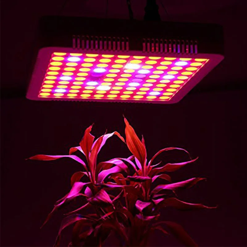 2000 Вт 100 светодиодный Светодиодный светильник с таймером для выращивания комнатных растений, полный спектр, садовая палатка, лампа для выращивания семян цветов