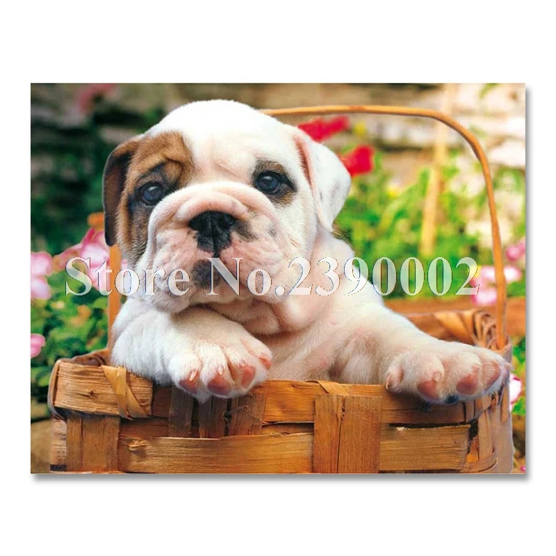 Kit Peinture Diamant Teckel - 30x40 Cm, Diamants Ronds - Art DIY Mosaïque Pour Débutants - Décoration Murale Chien
