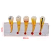 Endodontic pathological model pathology Patient communication model Endodontic treatment Posterior Teeth Dental Pulp Restoration ► Photo 3/6