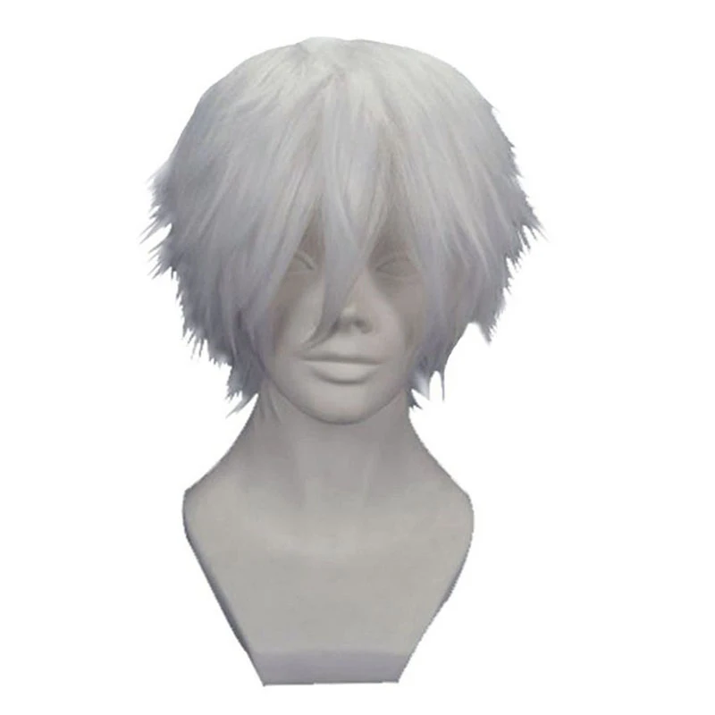 

Ebingoo Tokyo Ghoul Kaneki Ken Wig Short Straight Silver Grey Synthetic Cosplay Anime Wigs for Boys Heat Resistance+Hair Cap