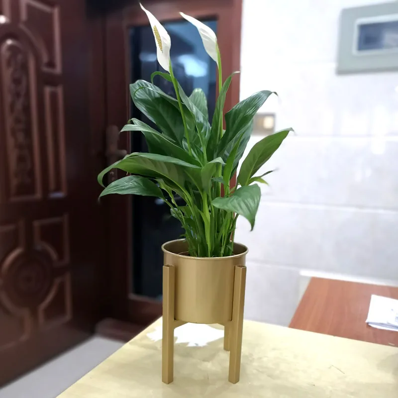 Новинка 2019 скандинавский кованый цветочный стеллаж для гостиной настольного