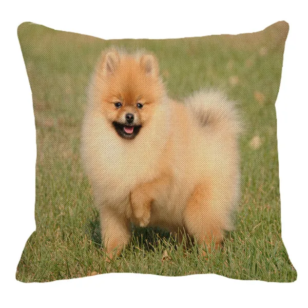 XUNYU Pomeranian Print Linen Pilllowcase Home Sofa Square Cushion cover Animal Dog Pattern Pillow cover AC105 - Цвет: 12