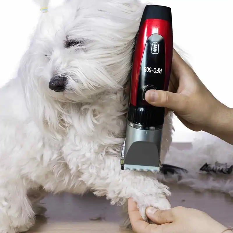 dog haircut machine