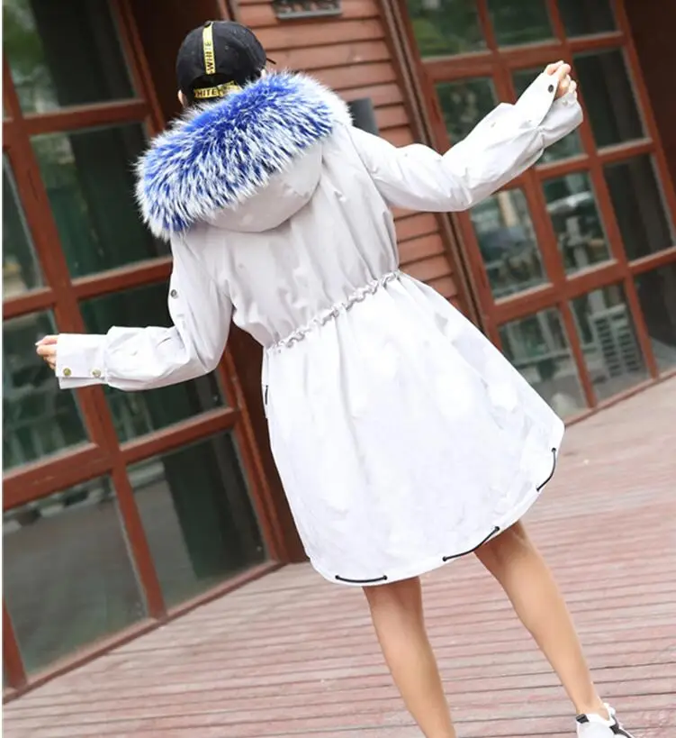 QQ20181211150937