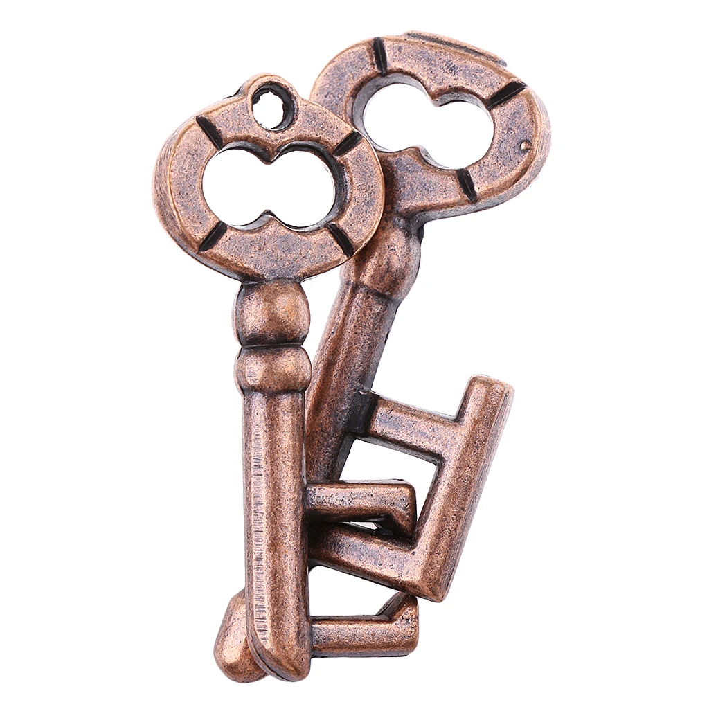 Key Lock Puzzle Classic Metal Brain Teaser IQ EQ Test Toys for Kids Adults Children Birthday Funny Gift