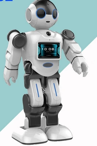 programmable humanoid robot