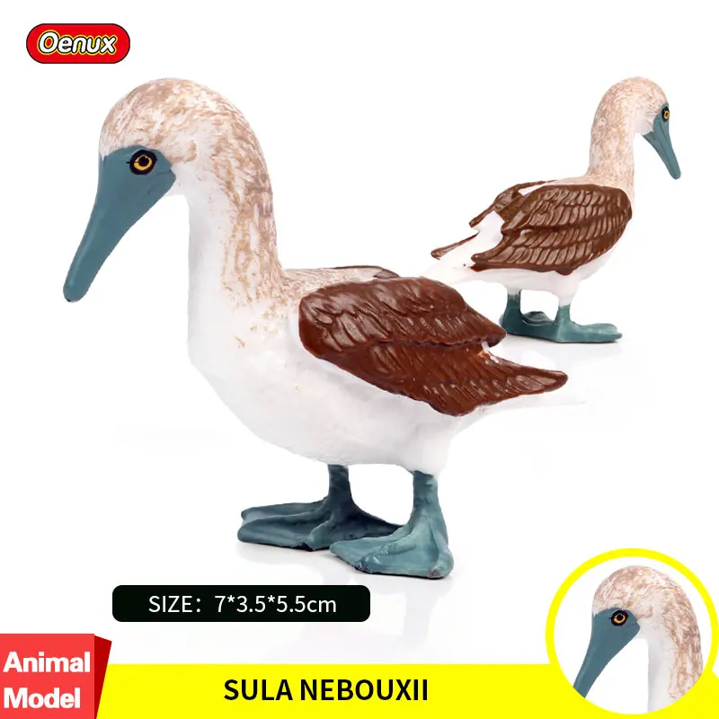 

Oenux Original Bird Animal Sula Nebouxii Model Blue-footed Ostrich PVC Action Figures Miniature Collection Toys For Kids Gift