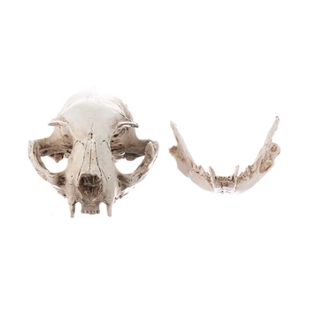 

Cat Skull Model Resin Animal Skeleton Skull Ornaments Halloween Creative Crafts Figurine Aquarium Fish Tank Landscape Decoration