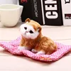 Stuffed Toys Lovely Simulation Animal Doll Plush Lazy Sleeping Cats Plush Toy with Sound Home Decorations ► Photo 3/6