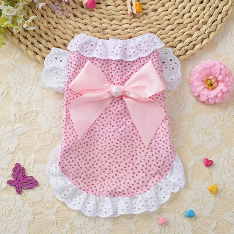 cheap dog clothes.jpg_.webp