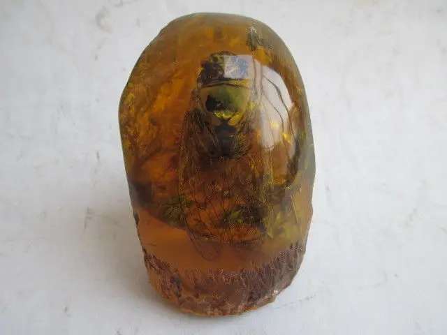 

Изысканная Древняя китайская коллекция украшений из смолы Цикада