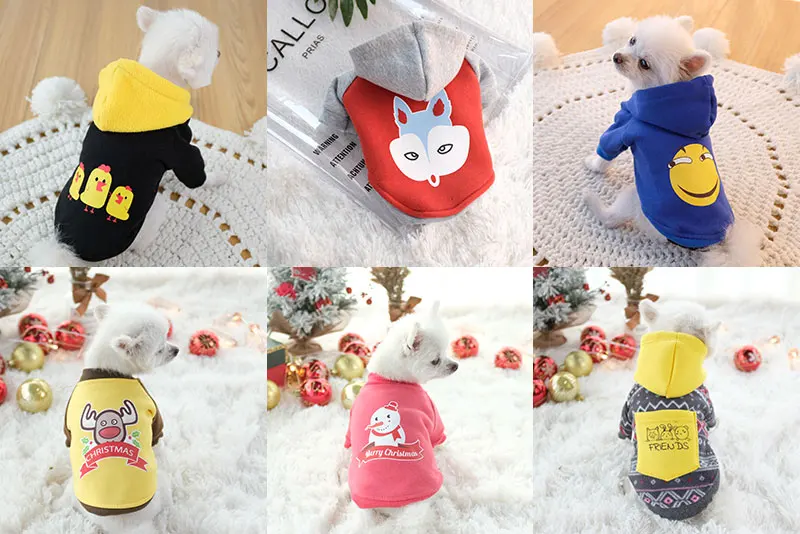 puppy coat xs