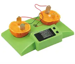 Подростковая детская научно-научной образовательных моделей экспериментальной игрушки Материалы фрукты электроэнергии Experime
