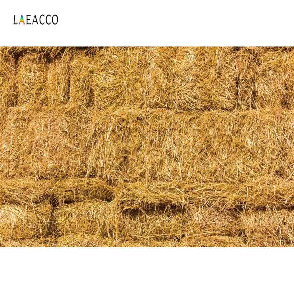 

Photo Backgrounds Warehouse Haystack Rural Farm Baby Newborn Party Portrait Interior Photography Backdrop Photocall Photo Studio