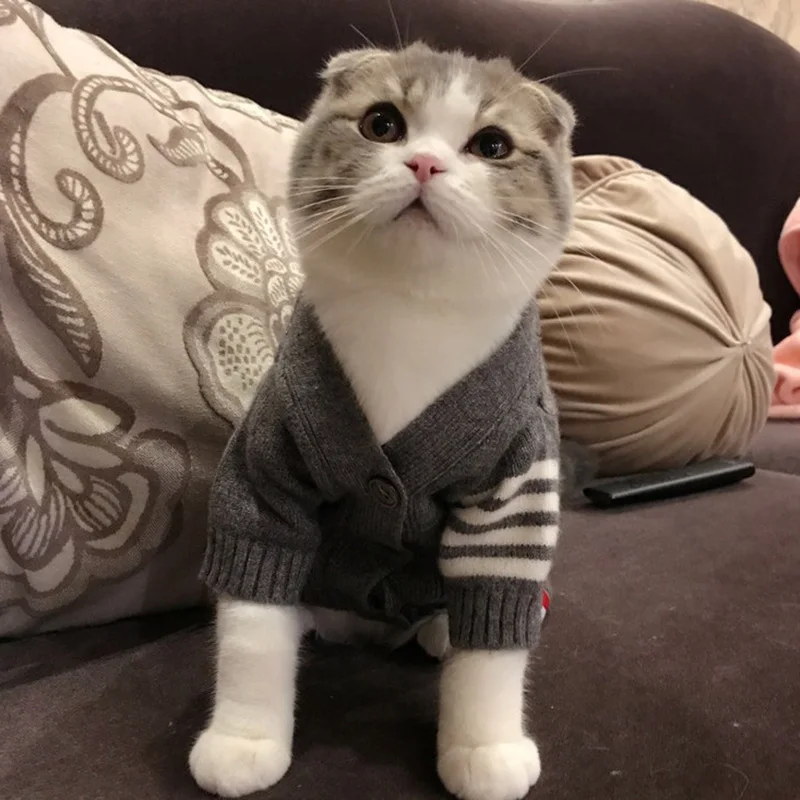 1 шт. полосатого рисунка Кошка Собака свитер Зима щенок котенка одежда защитный чехол для телефона с