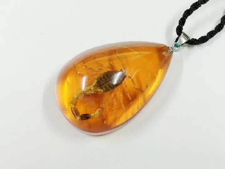 ymdm051