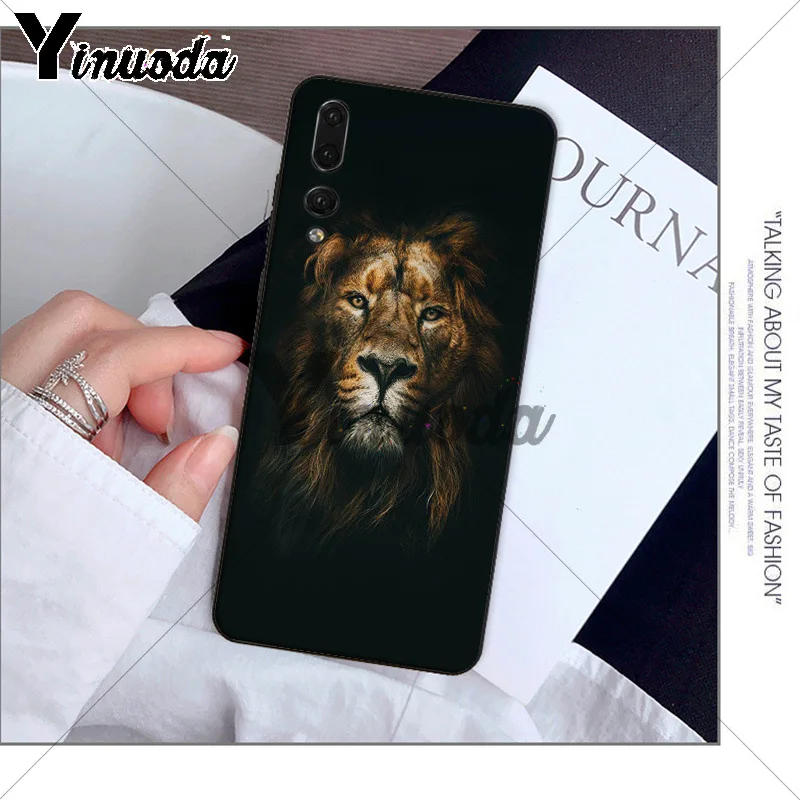 Animals The lion