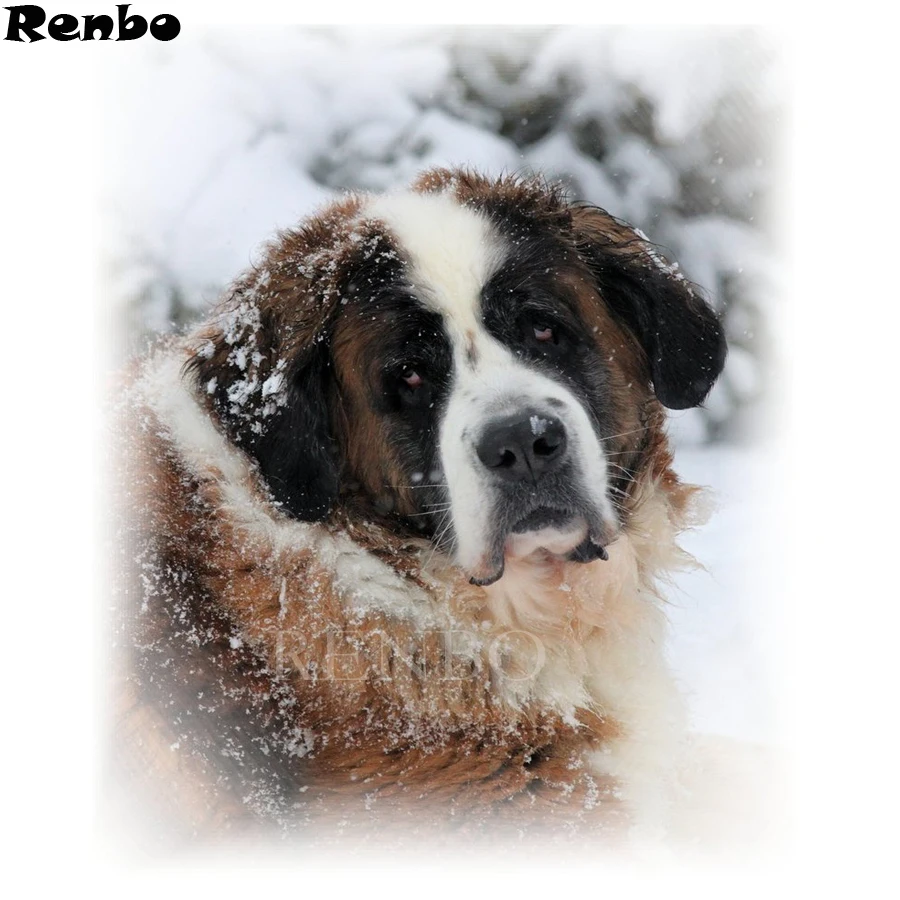 

DIY Diamond Painting Cross Stitch Full Square Diamond Embroidery Saint Bernard Dog cute pet 5D Mosaic Decor Christmas Gift B311