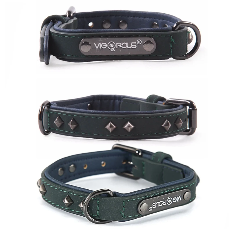 dog collar (1)