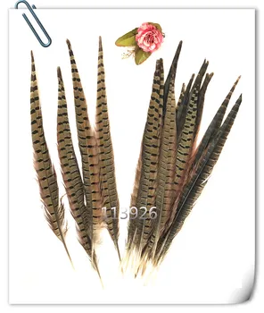 

New !100pcs/lot 12-14 inches/30-35CM Pheasant feathers natural Ringneck Pheasant tail Feather plume