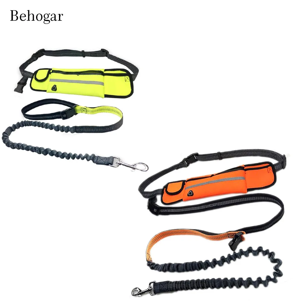 Behogar Elastic Adjustable Retractable Bungee Dogs Leash with Belt