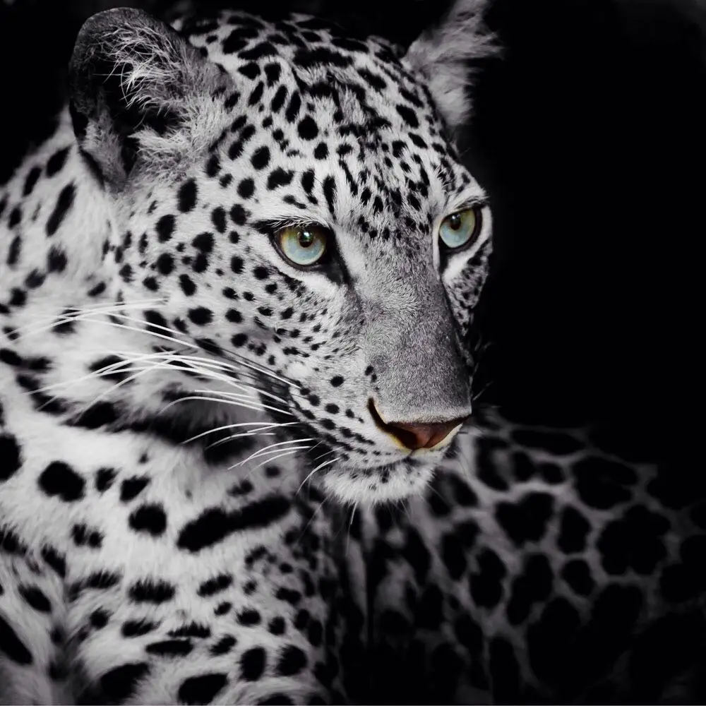 HOT Sale Animal Wall Painting 1pcs Leopard Picture Unframed Strong