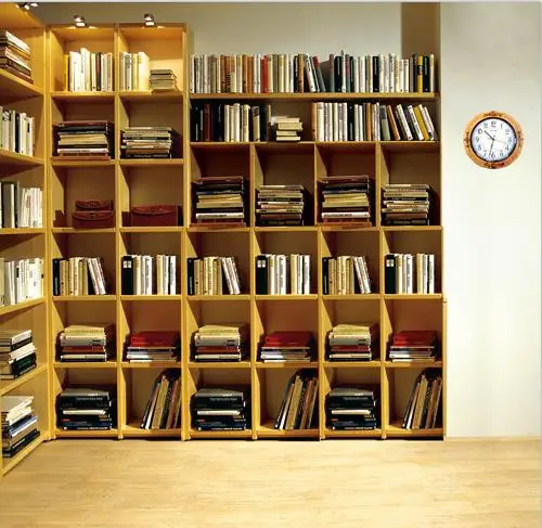 Digital Bookshelf Promotion For Promotional 10x10ft Customize Thin Vinyl Photography Backdrops Bookshelf Digital Printing Cloth Background For Photo Studio