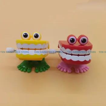 

2018 good quality 2pcs/set Dental materials jumping teeth frog ornament Children's toy dental model teaching model
