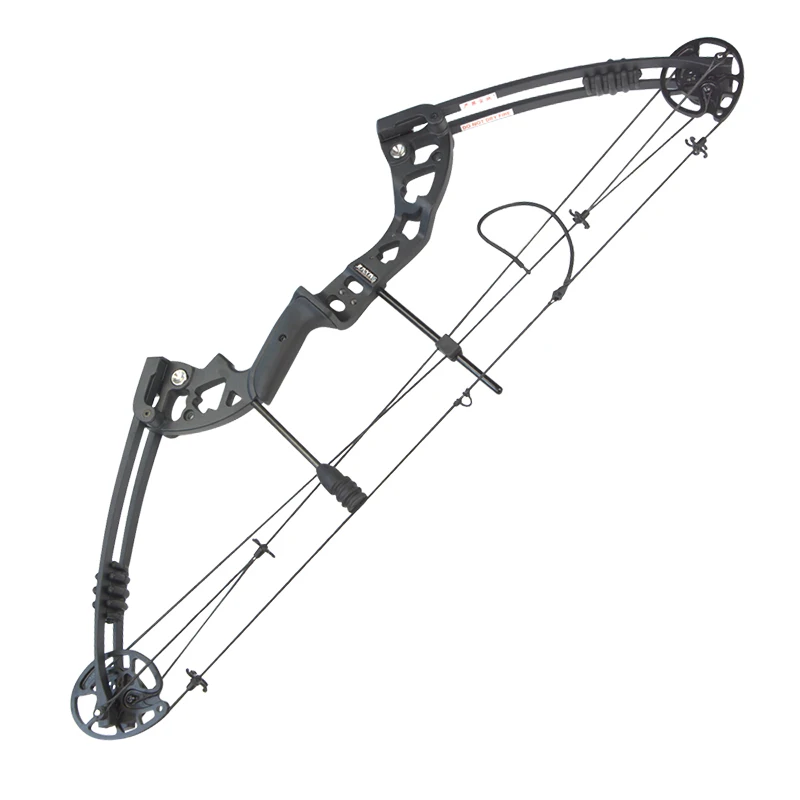 1 Набор из металлического сплава 38 дюймов блочный лук 30-55lbs Регулируемый шкив лук для наружного охоты спортивной стрельбы тренировочный лук для стрельбы из лука