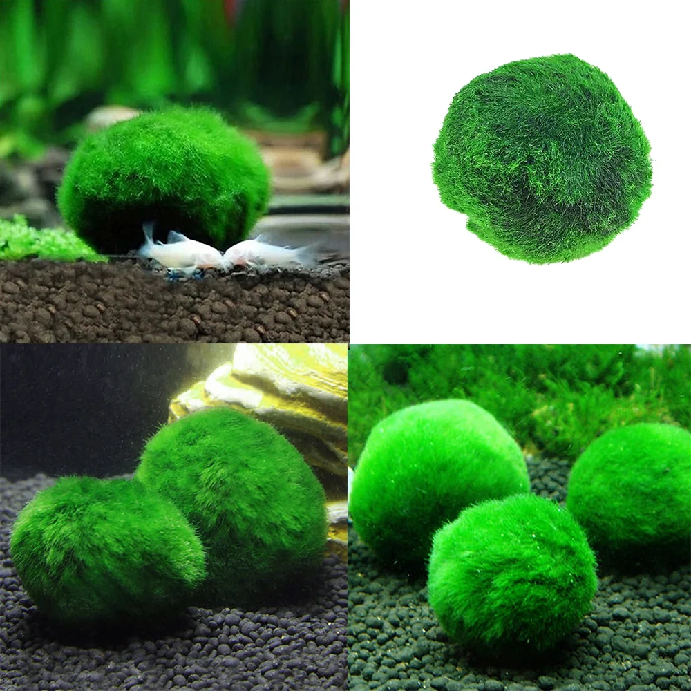 

Green Aquarium Moss Ball Artificial Grass Underwater Plants Green Moss Ball Aquarium Fish Tank Decoration Ornament