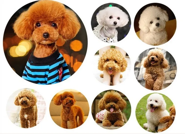 2083715147_1879409376