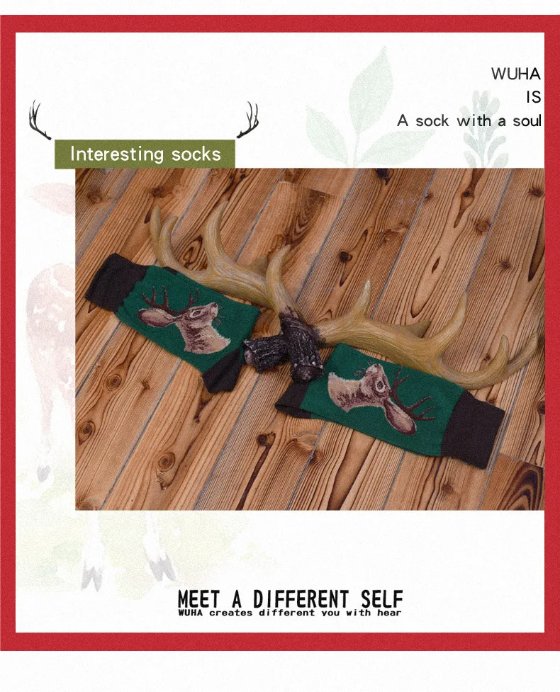 9176197150_2023056901 (1)