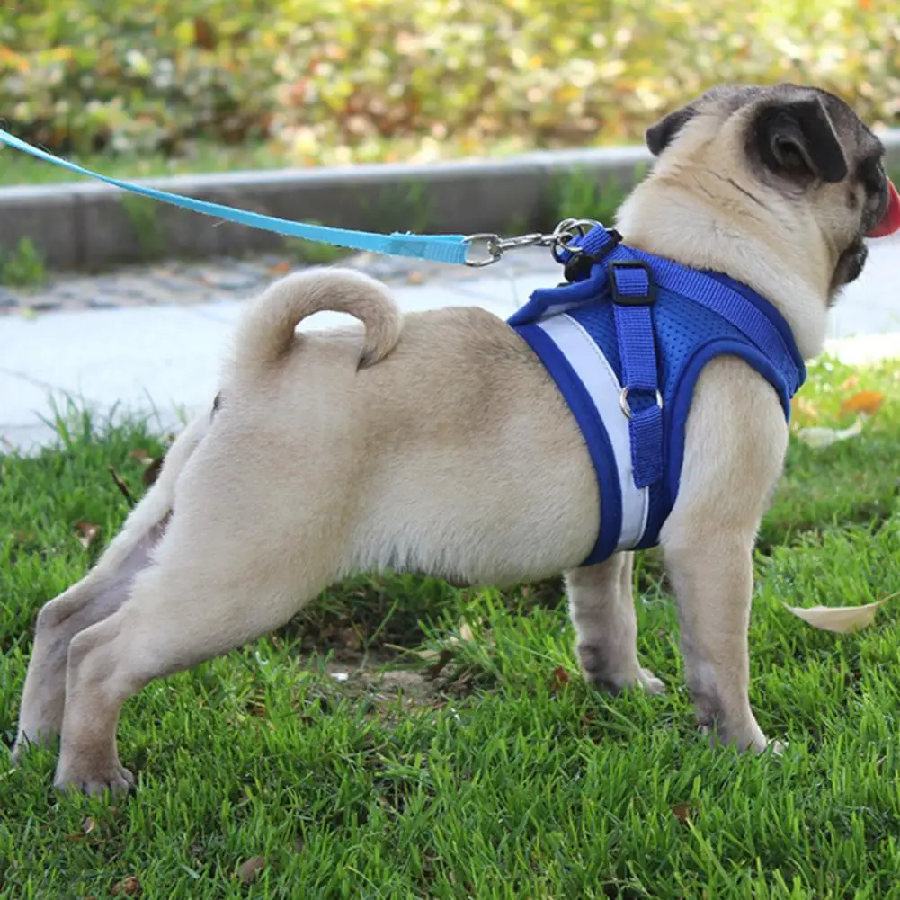 Dog Harness Vest Reflective Walking Lead Leash for Puppy Dogs Waistcoat