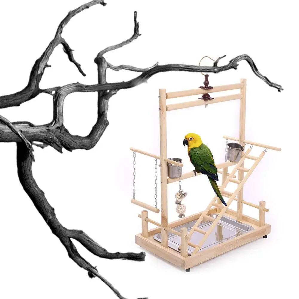 Птица Жердочки Играть Стенд Тренировки ParrotPlaygym манеж Playstand разводной мост поднос