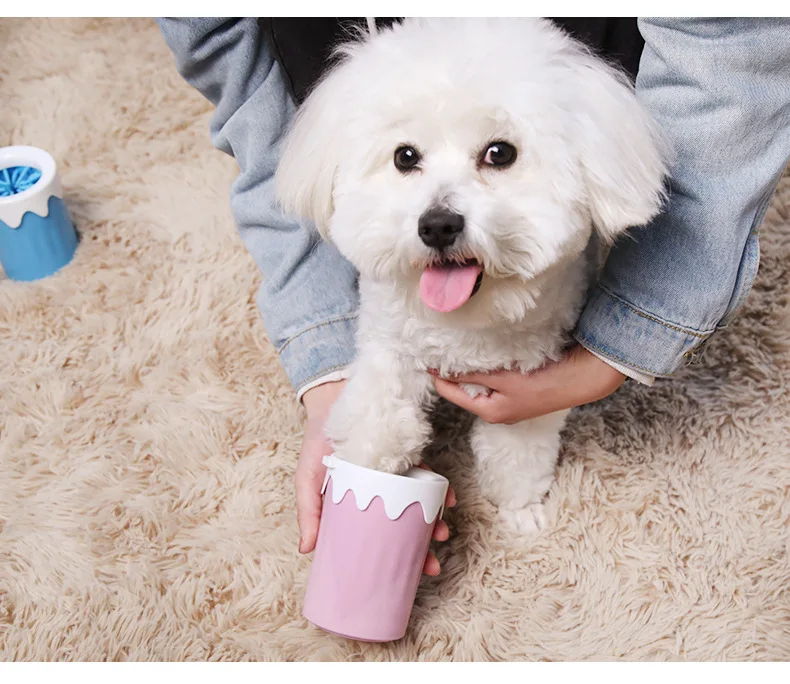 10663360031_1624998023