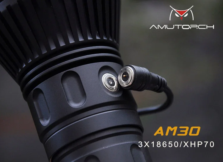 AM308