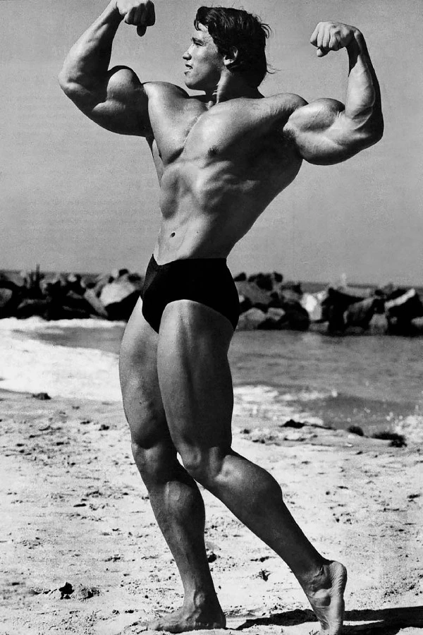 Diy Frame Arnold Schwarzenegger Bodybuilding Fitness Gym Decor Posters Art Silk Fabric Poster Rroof Arnold Schwarzenegger Bodybuilding Arnold Schwarzeneggersilk Fabric Poster Aliexpress