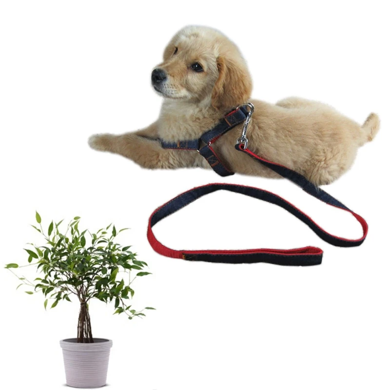 120cm Outdoor Dogs Long Fashion Denim & Nylon Rope Dog Leash Black/Red