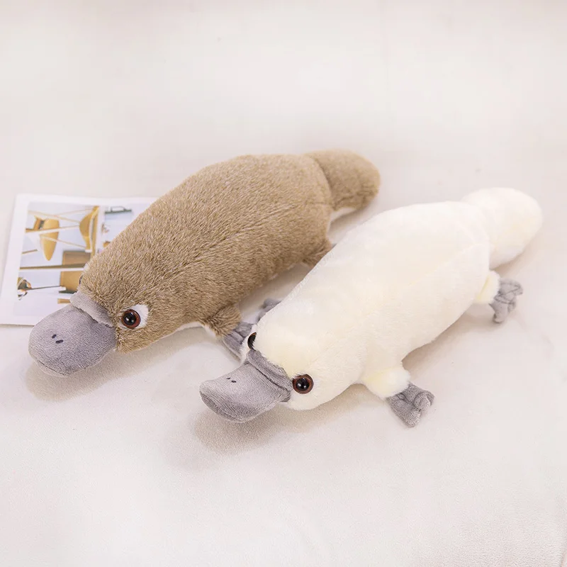 duck billed platypus soft toy